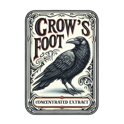 Ohio DTF Transfer | Crow's Foot 1 - A creepy and crawly design for Halloween.